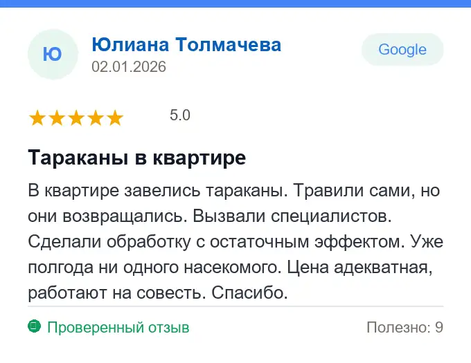 Отзыв Юлиана Толмачева: Тараканы в квартире